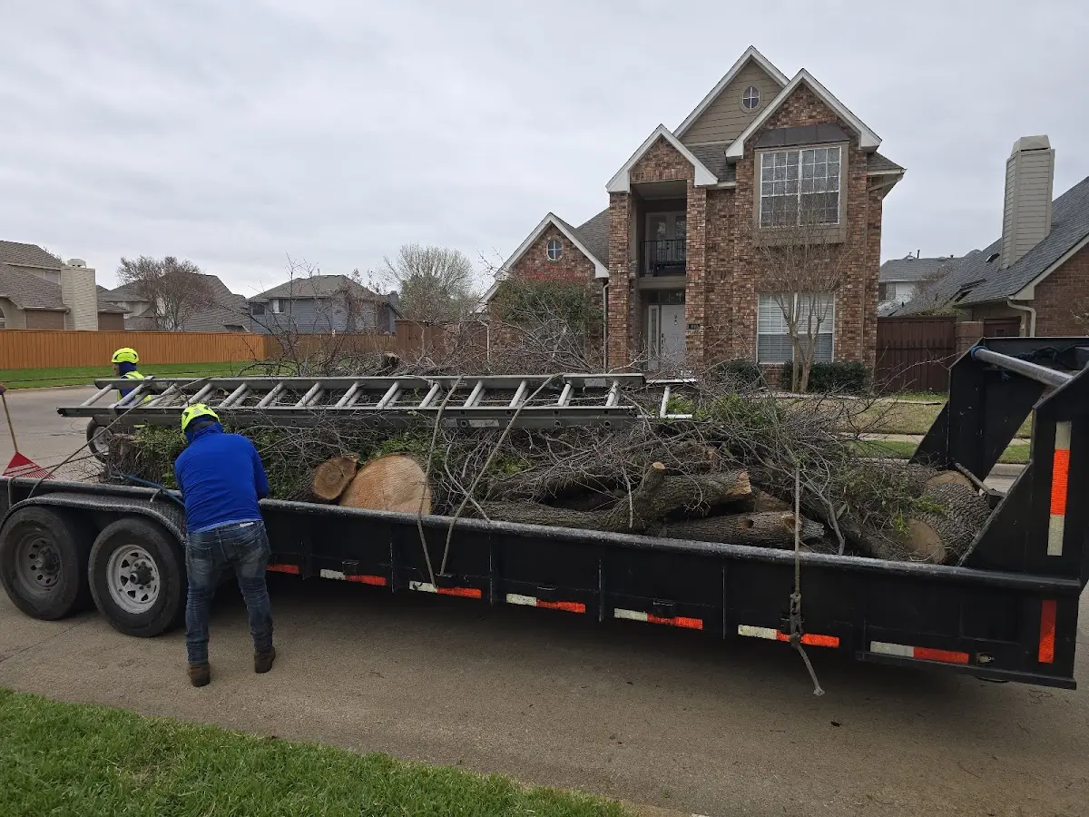 Expert Tree Removal with proper safety equipment in Warwick